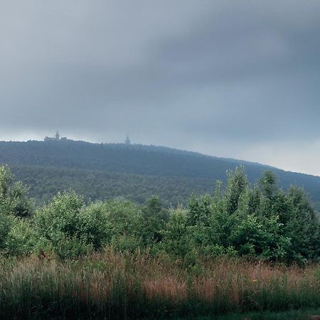 Willa Czarownica Nowa Slupia Εξωτερικό φωτογραφία